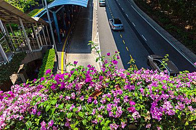 新研究揭示美国最受欢迎游戏角色 前十名一半来自任天堂